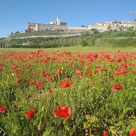 Casetta Delle Rose Assisi Bagian luar foto