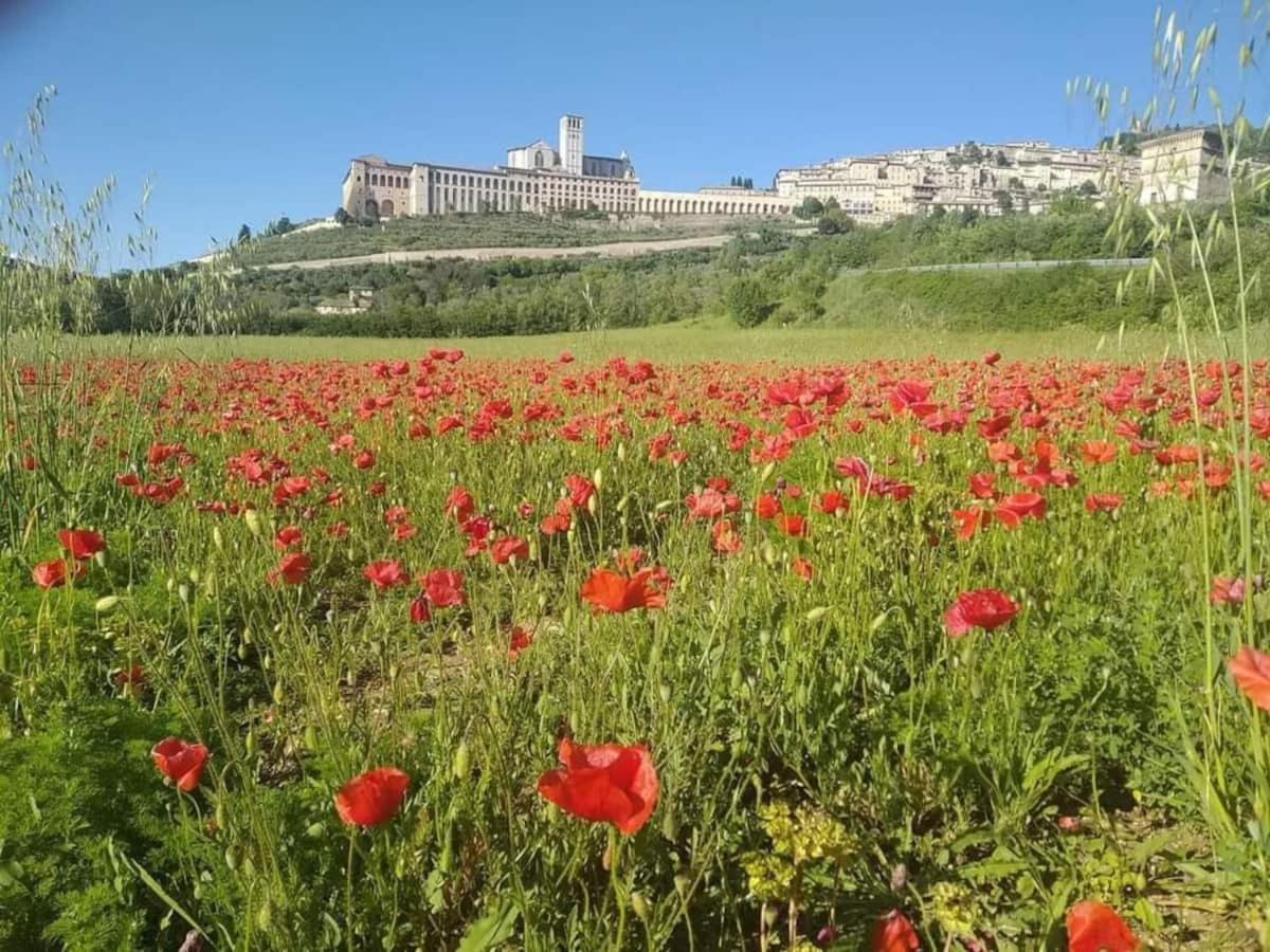 Casetta Delle Rose Assisi Bagian luar foto