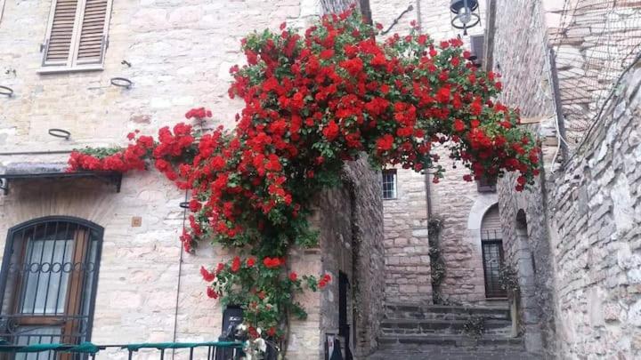 Casetta Delle Rose Assisi Bagian luar foto