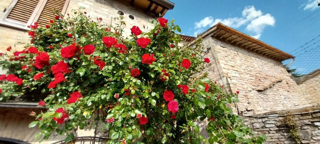 Casetta Delle Rose Assisi Bagian luar foto