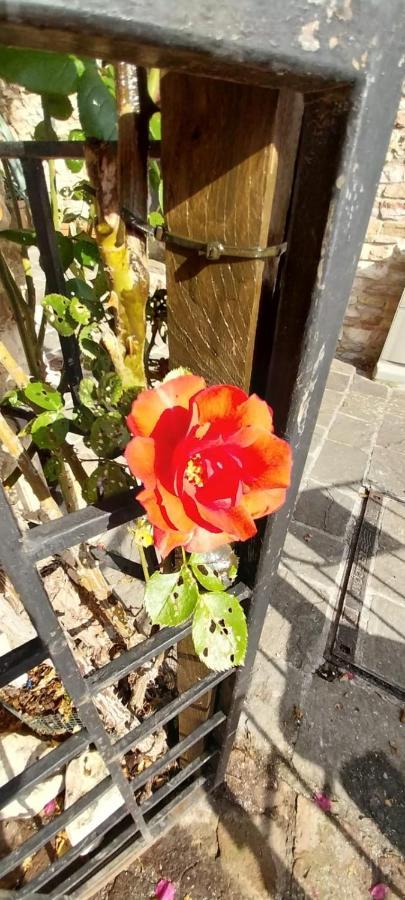 Casetta Delle Rose Assisi Bagian luar foto