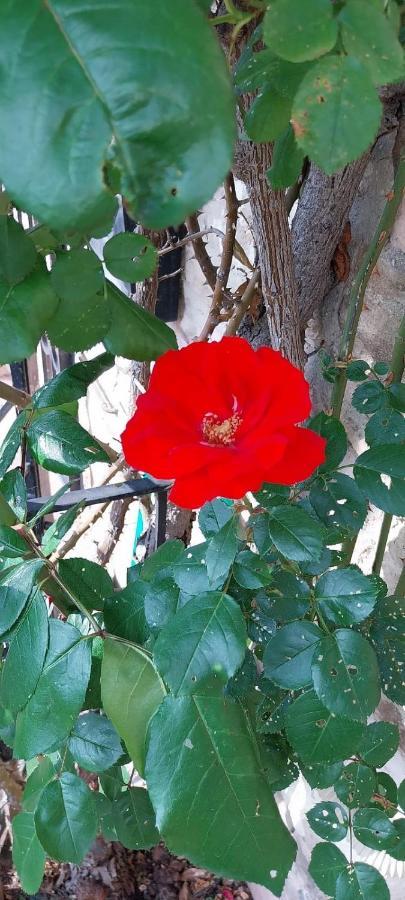 Casetta Delle Rose Assisi Bagian luar foto